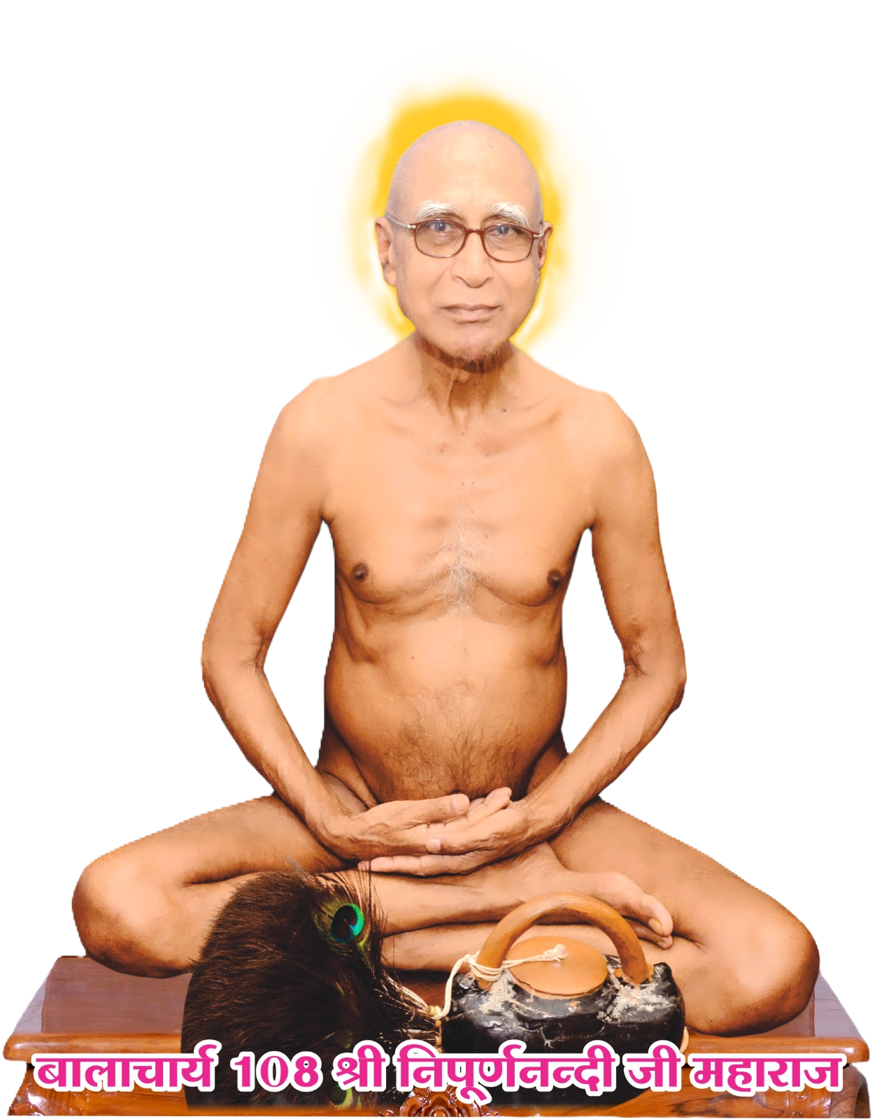 प.पू. बालाचार्य 108 श्री निपूर्णनन्दी जी महाराज